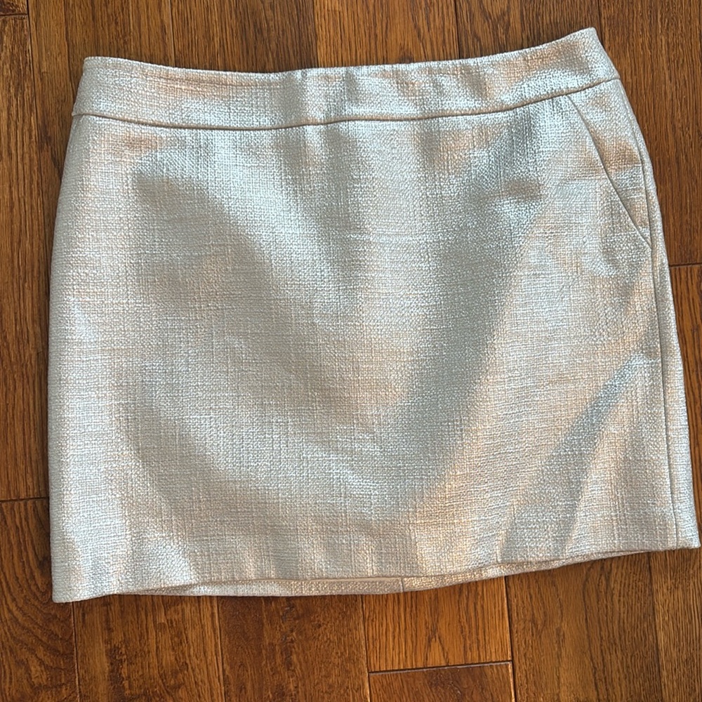 Fun Silver Mini Skirt